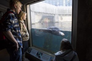 AP Biology and Zoology classes will travel to the Monterey Bay Aquarium