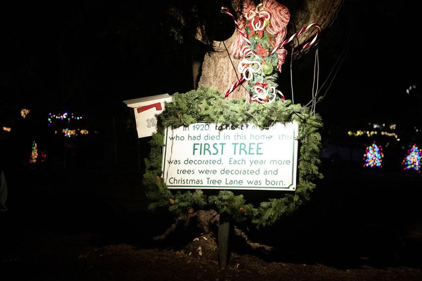 Christmas Tree Lane Walk Night The Feather Online